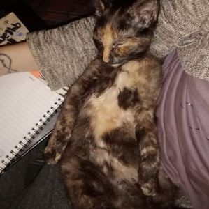 Meet your Posher, Crystal jody